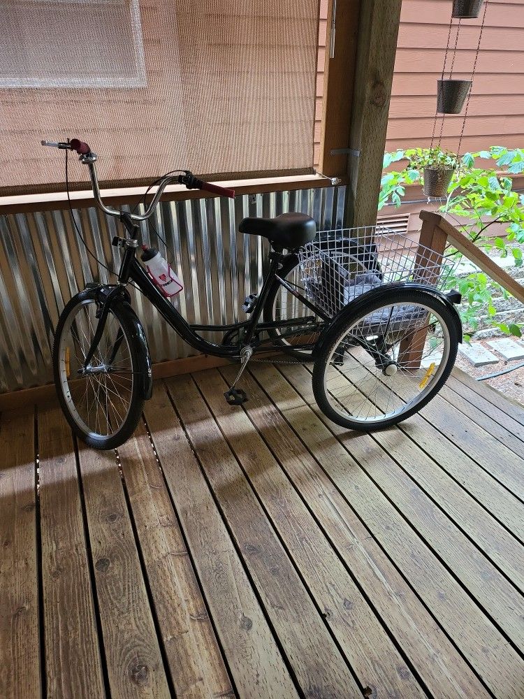 Baby Boomer Bikes Brand Trike
