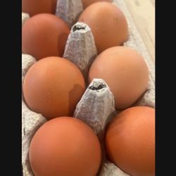 Fresh Farm Pasture Raised Eggs 