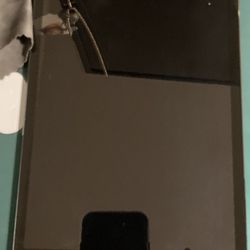 iPad Mini