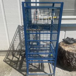 Bird Cage