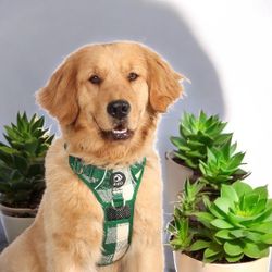 🐾 No Pull Dog Harness, Adjustable Dog Harnesses with Leash and Handle, New