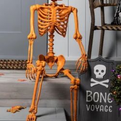 60" Posable Pumpkin Skeleton Halloween Decorative Mannequin - Hyde & EEK! Boutique