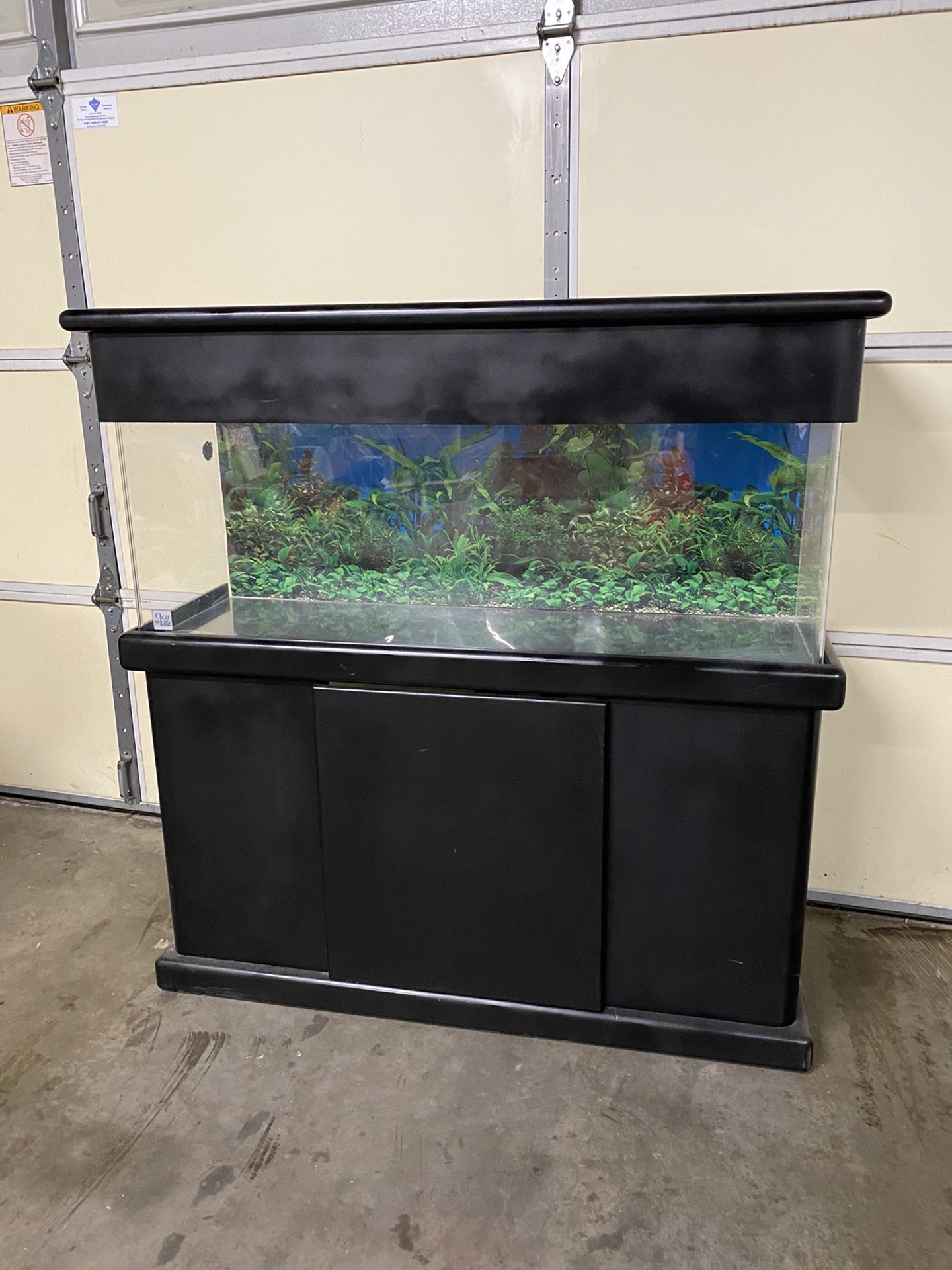 Beautiful 60 gal acrylic fish tank for sale (8.5/10 condition)