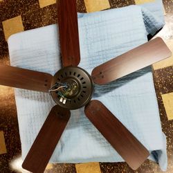 Hunter Ceiling Fan With Remote 