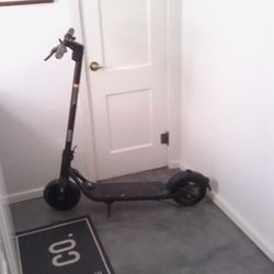 Segway Ninebot Electric Scooter 