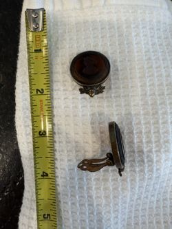 Beautiful Chestnut Cameo Earrings