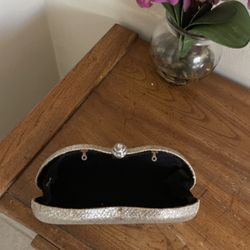 Silver Clutch Purse