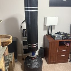 Standing Punching Bag And Boxing Gloves