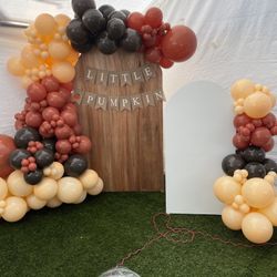 Balloon Arch And Backdrop 