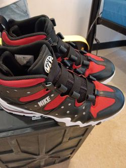 Charles Barkley new custom