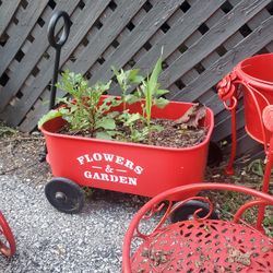 Garden Ornaments/Decor For Plants