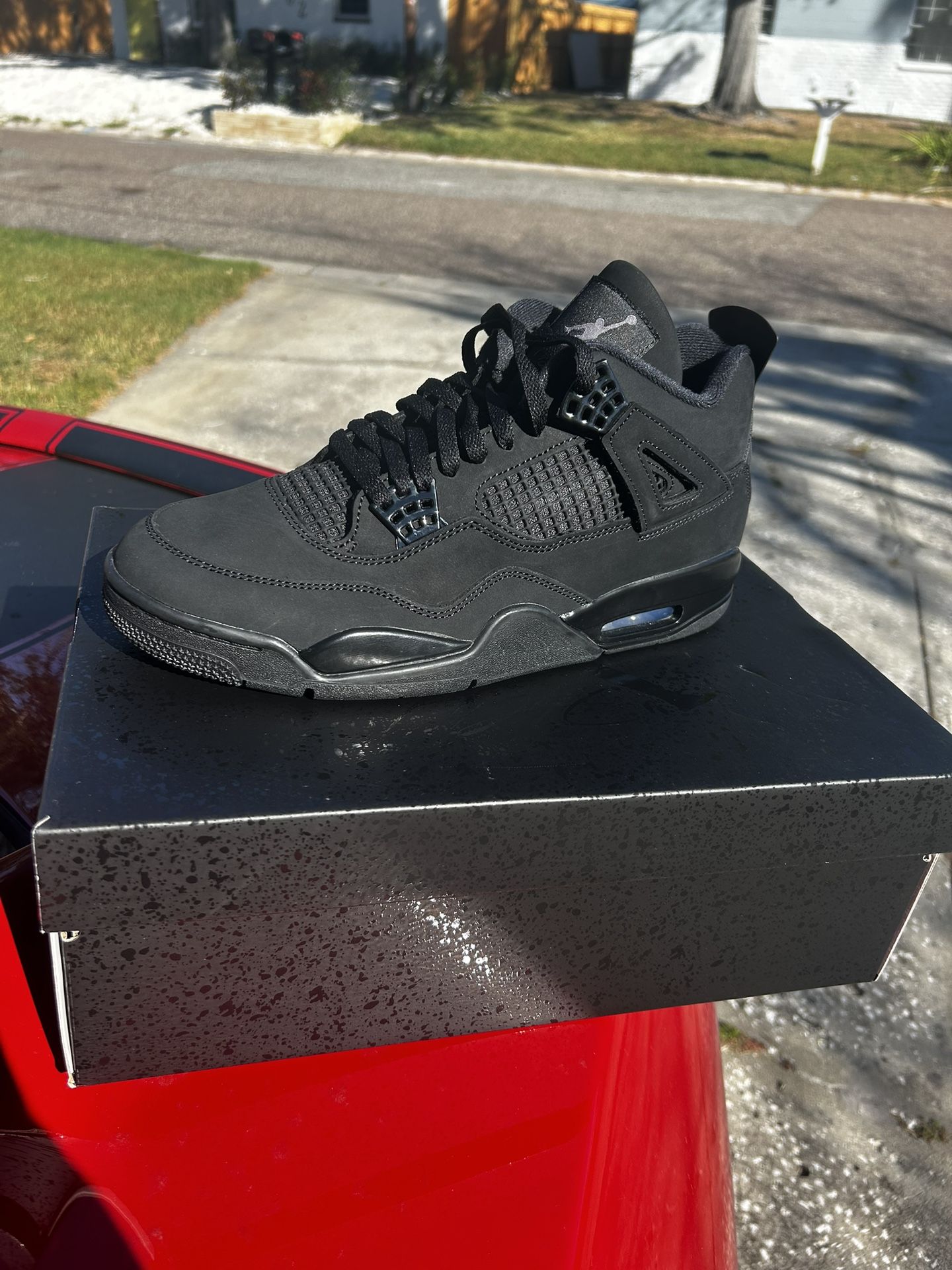 2025 Black Cat 4s (new)