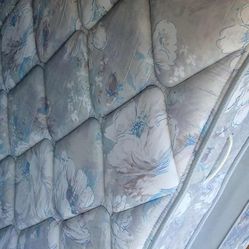 Twin Mattress And Box Spring 