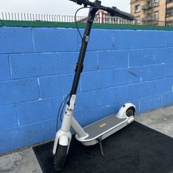 Ninebot KickScooter MAX