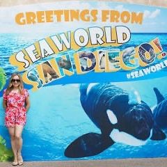 🎄✨ SEA WORLD SAN DIEGO – CHRISTMAS CELEBRATION! ✨🎄
