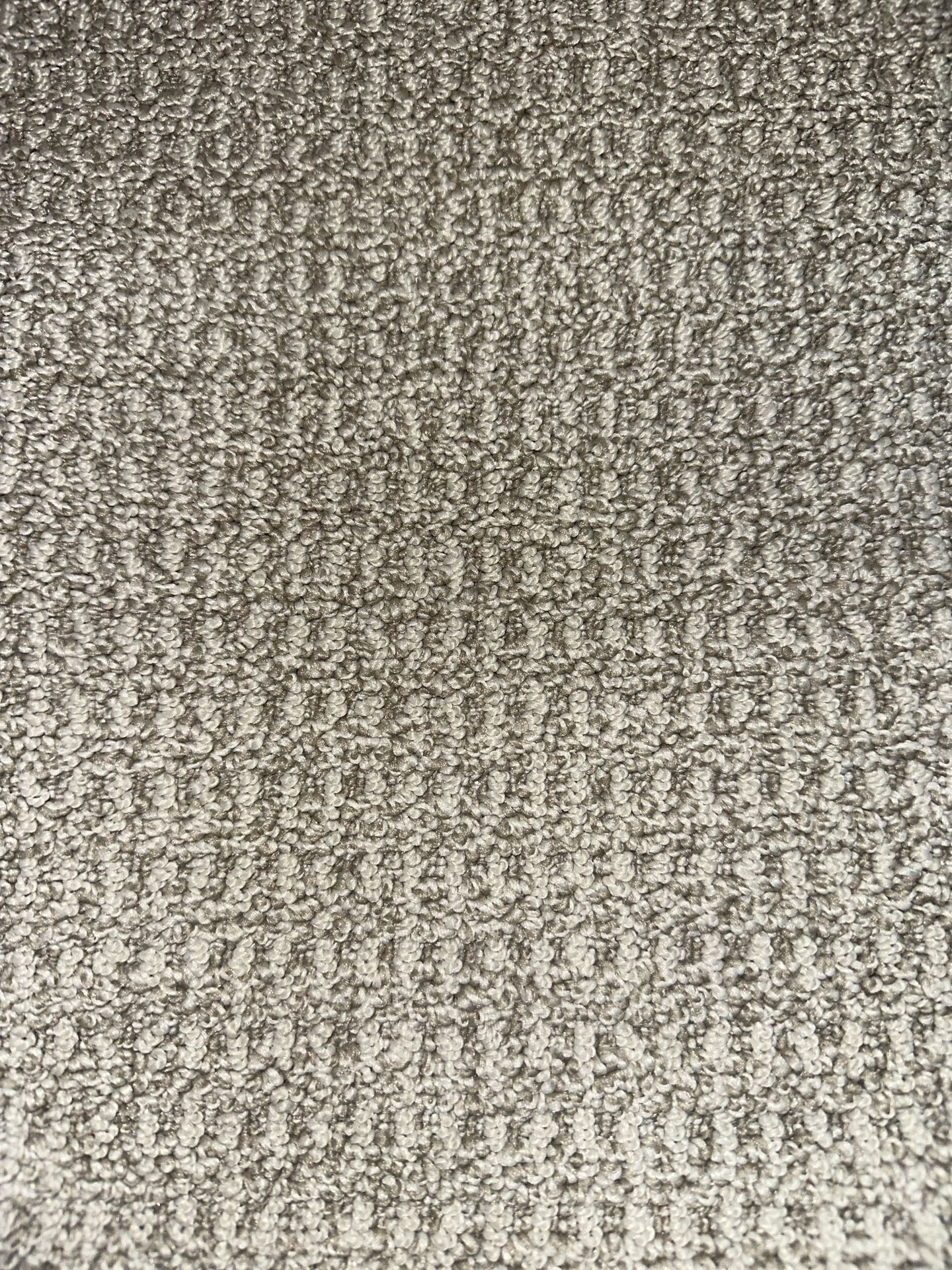 Carpet 