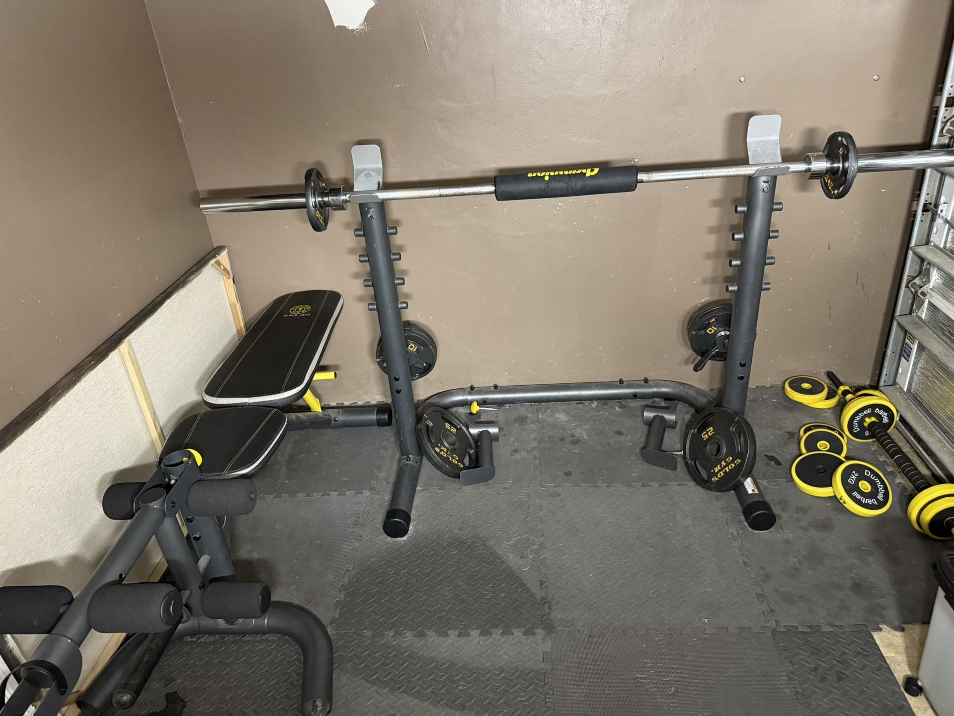 Bench and Weights