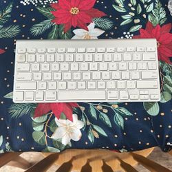 Apple Portable Keyboard For iPad