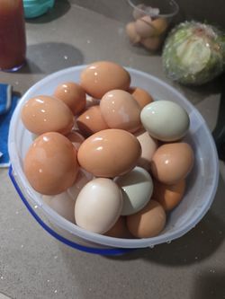 20 Huevos Organicos Por 10dlls