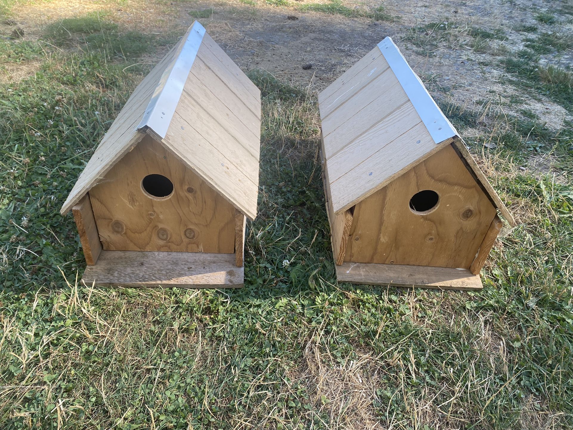 Bird Houses