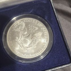 1999 Painted 1oz Silver Dollar 