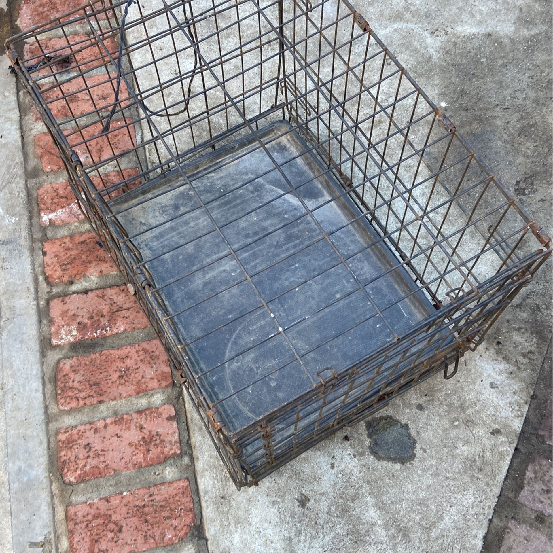 Dog cage For Sale