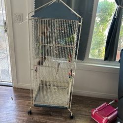 Bird Supplies 