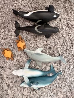 Model sea life