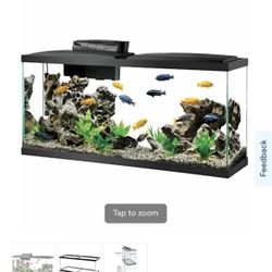 55 Gallon Glass Aquarium & Accessories 