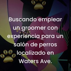 Se Busca Estilista De Mascota 