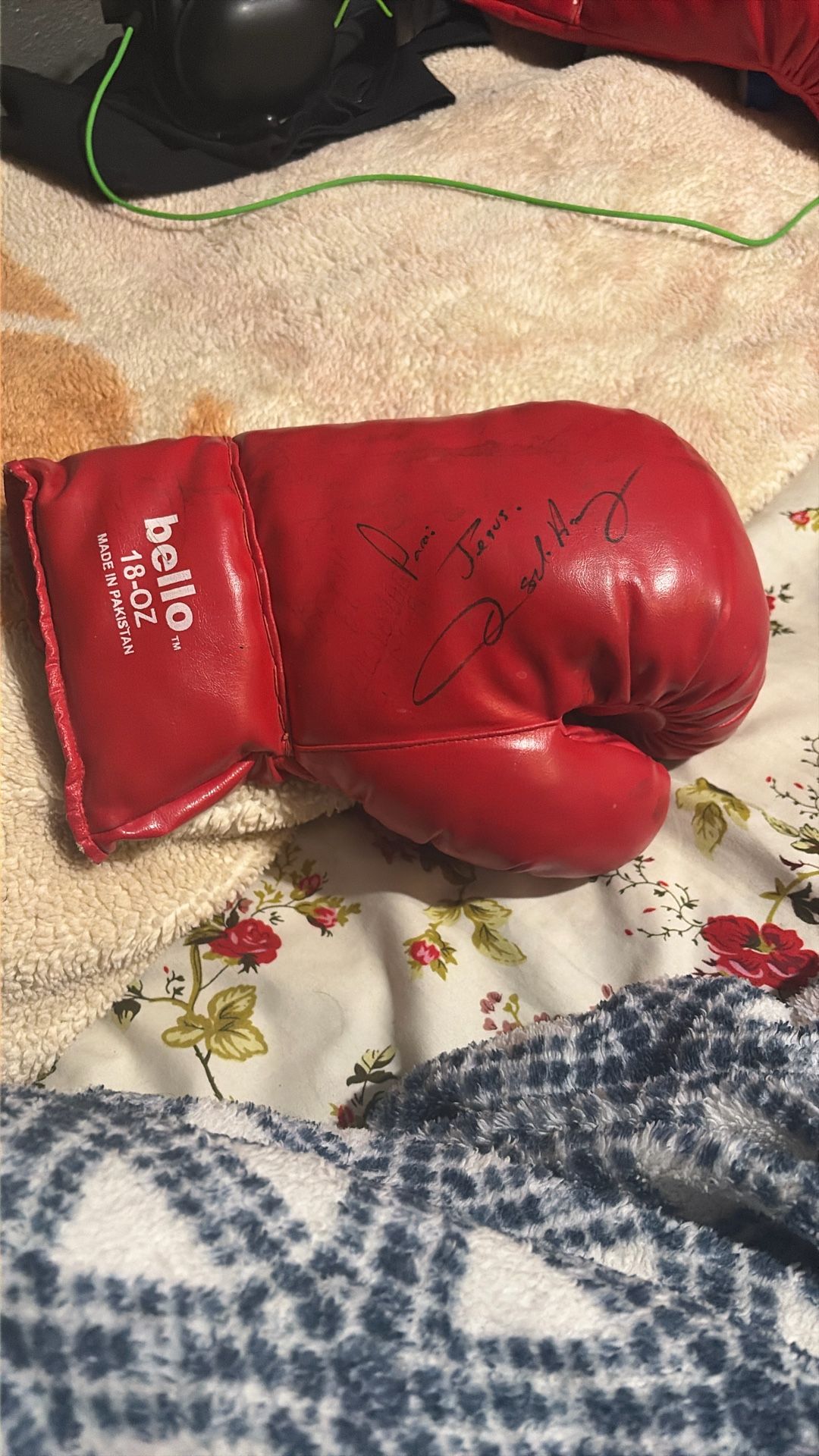 Oscar Del La Hoya (Golden Boy) Sign Glove 2010