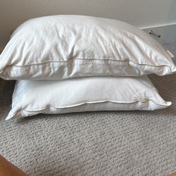 Two Standard Pillows