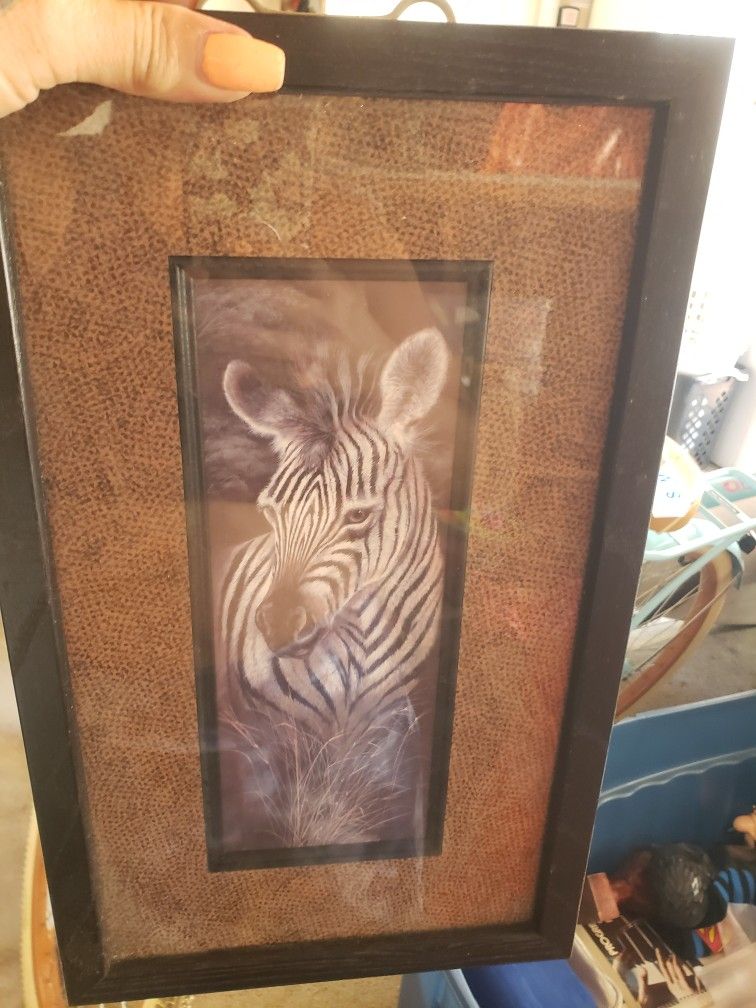 Zebra And Giraffe Framed Photos