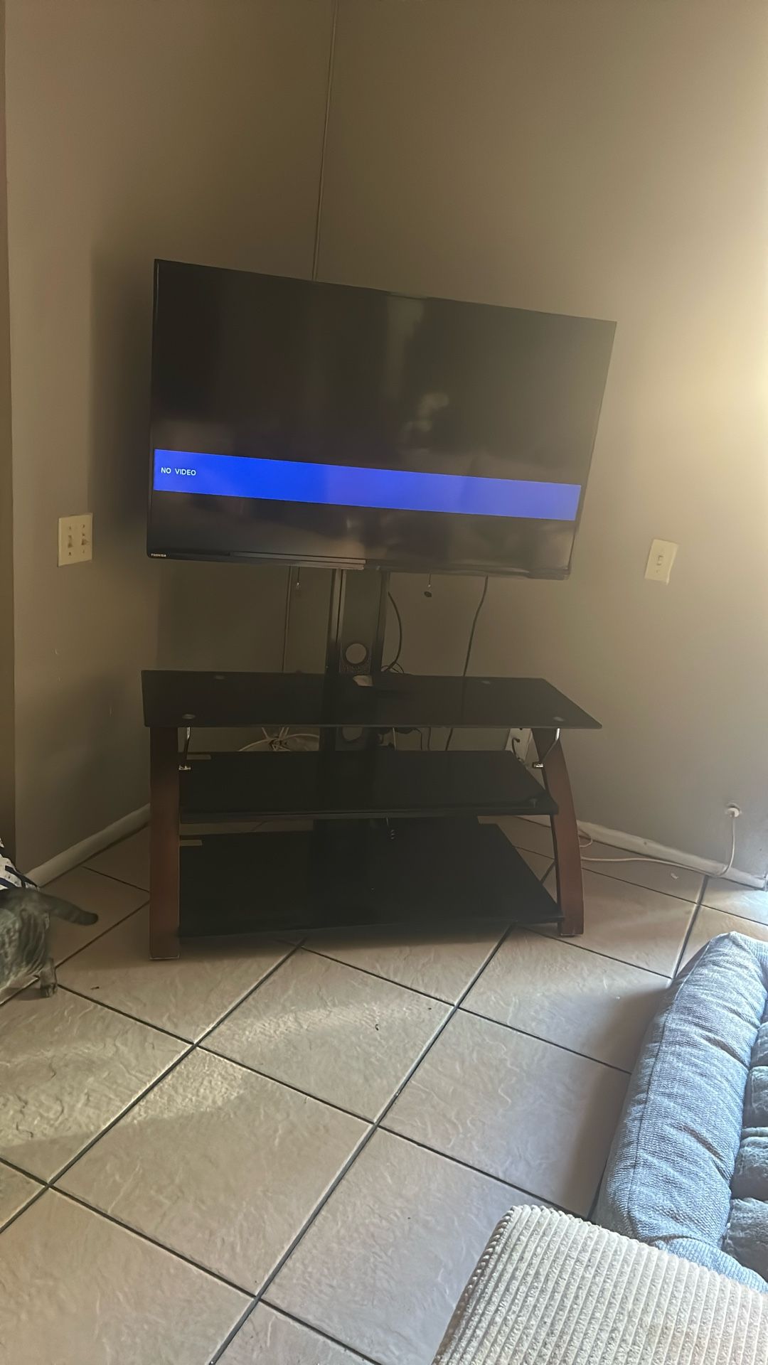 Toshiba TV With stand