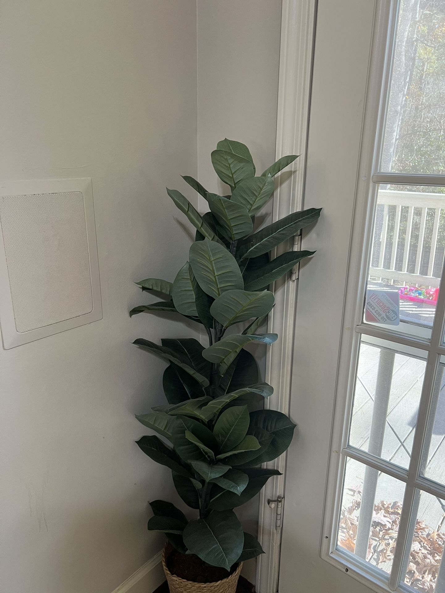 Decorative Trees Plastics $25 Each