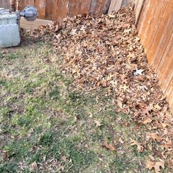 Selling low Price For You