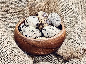 Fresh Quail Eggs Daily 