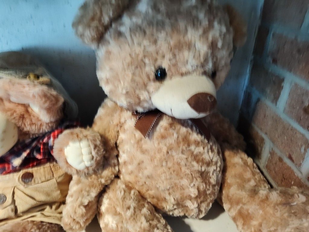 Stuffed Animals Very Soft House Pickup $45.00 Also Pretty