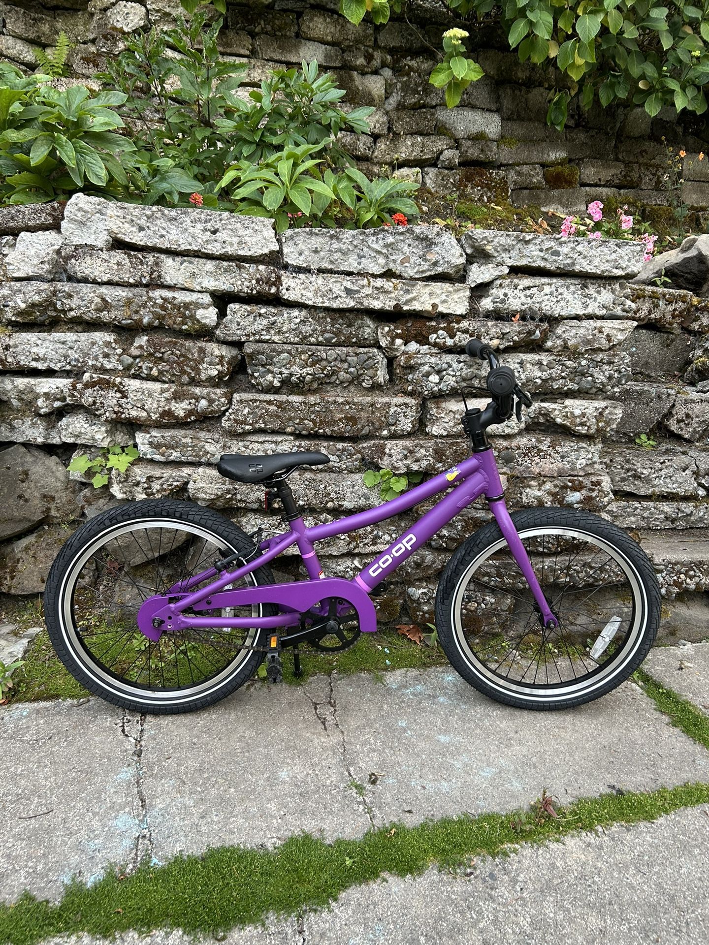 Kids 20” Bike - Rev20 Co-Op REI
