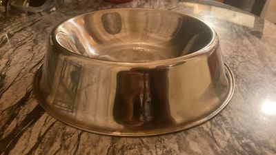 Silver steel dog bowl