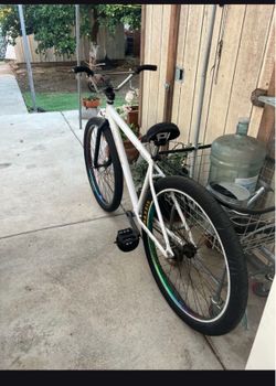 Throne 29er