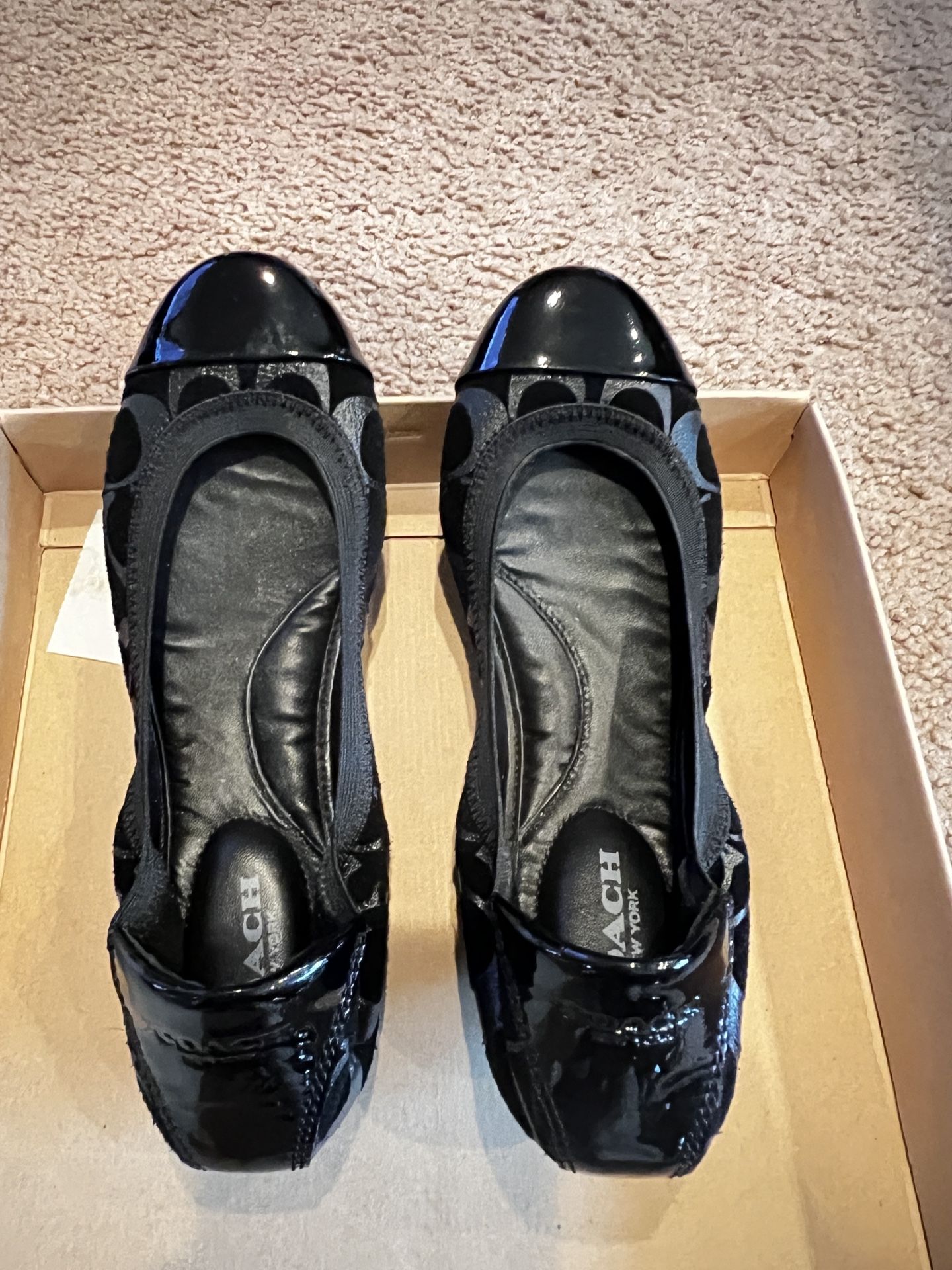 Coach Lady’s Flat Software