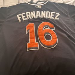 JESEY JOSÉ FERNÁNDEZ 