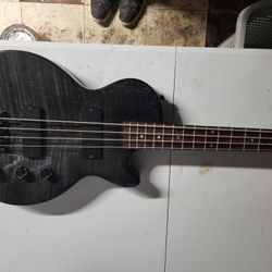 Epiphone Les Paul Special Bass