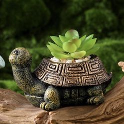 Turtle Figurine With Real Succulent Plant