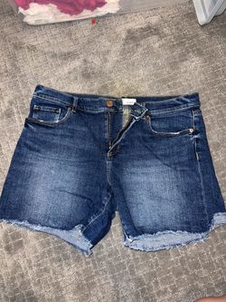 Woman’s Loft 29/8 Shorts