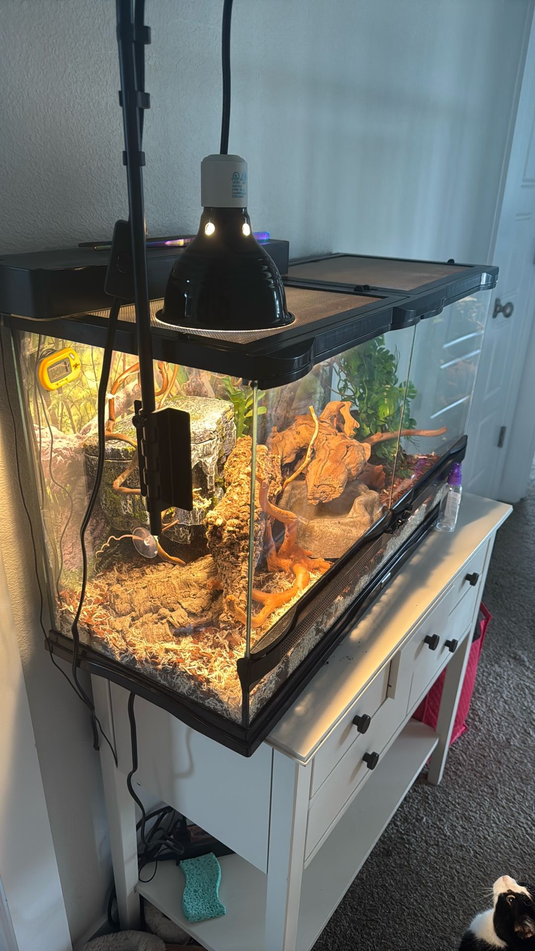 Free Tank Comes With EVERYTHING