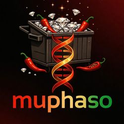 Dj,percus,sion est,rapper,producer, entertainment,chef ,musician