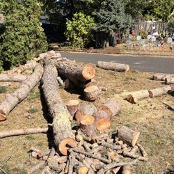 Fresh Cut Pine