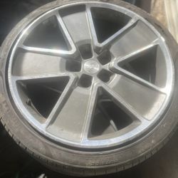 Rims 
